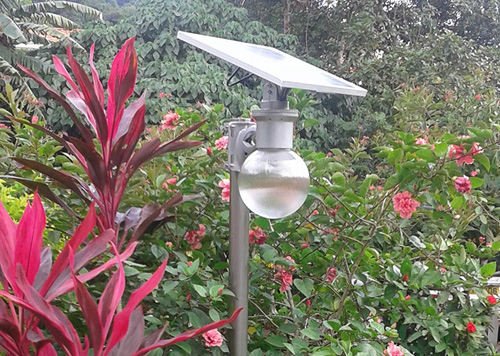 solar LED garden light